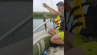 Fishing in Coal Lake Alberta - You don't believe how many pike we caught - Aug 2022