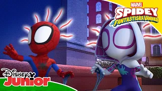 Extra klibbigt nät | Spidey och hans fantastiska vänner | Disney Junior Sverige