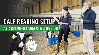 Calf Rearing Setup on an AYR Calving Farm in Cheshire, UK. The Calf Company