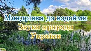 Мандрівка до водойми. Звуки природи України