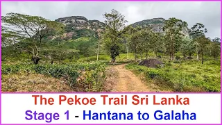 Pekoe Trail Sri Lanka - Stage 1 - Hantana to Galaha (2023)