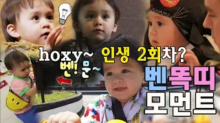 #벤틀리 인생 2회차인가 hoxy~? ★똑띠벤★ 모음zip | #슈퍼맨이돌아왔다 | ㅣ KBS방송