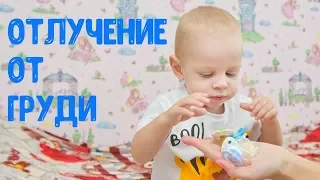 Отлучение от грудного вскармливания (ГВ) | Как отлучить от груди?