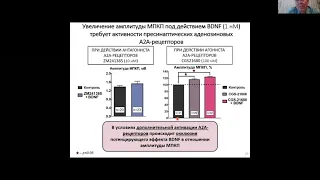 Магистры ФЧЖ 2020 доклады 1-2