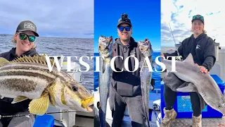 Deep dropping and Jigging West Coast of Tasmania