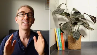 The Fastest Way to Learn a New Language: The Pot Plant Theory