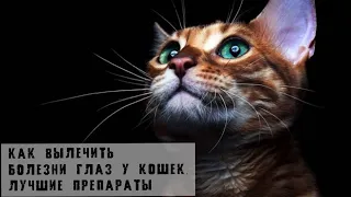 Болезни глаз у кошек /Чем лечить глаза у котят | Препараты для лечения глаз у кошек. Часть 2