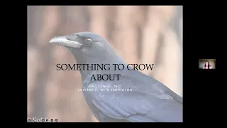 Something to Crow About With Dr. Kaeli Swift