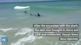 Man dies after shark attack in Hawaii