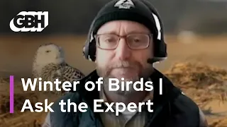 Ask The Expert: Winter of Birds