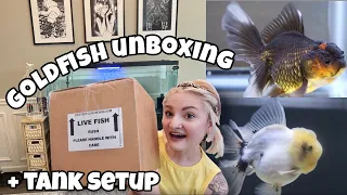 UNBOXING MY NEW GOLDFISH + setting up their tank🐠🐟| vlog |