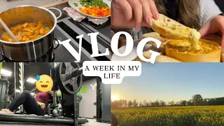 Living Alone | Daily Life in Germany - Productivity, overnight oats recipe, cleaning, cooking | VLOG