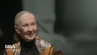 Mi mensaje a las niñas que quieren ser científicas. Jane Goodall, primatóloga