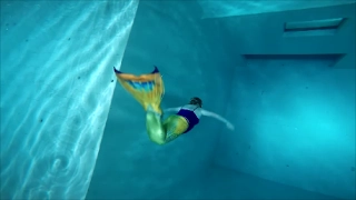 Mermaid at Nemo33