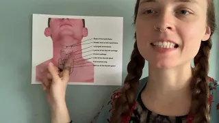 Laryngeal Massage for MTD (muscle tension dysphonia)