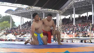 Venuzo Dawhuo vs kezhavizo Thevo | 29th Naga Wrestling Championship 2024.