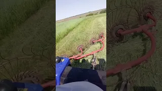 Гребемо сіно🌿KENTAVR 404 🚜