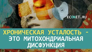 Хроническая усталость  - это митохондриальная дисфункция | ECONET.RU