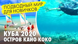 Развлечения на Кайо-Коко. Снорклинг на Кубе - дайвинг для новичков. День отлета и общие впечатления.