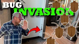 GROSS! Bug Invasion | Our Worst NIGHTMARE! | RV Warranty Repairs