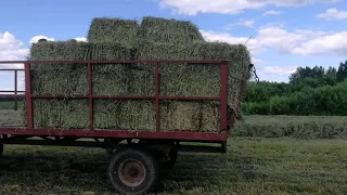 Трактор Беларусь, техника заготовки сена.