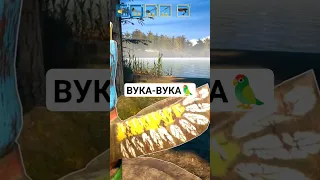 ВУКА - ВУКА🦜 barn finders (симулятор ломбарда)