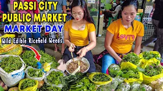 PASSI CITY PUBLIC MARKET Walking Tour | Sweet City in the Heart of Panay Island | PASSI ILOILO |