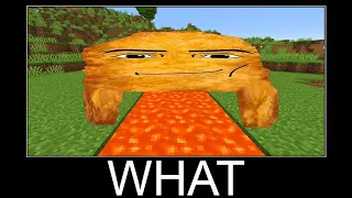 Minecraft WAIT WHAT meme 24/7 Livestream #192