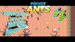 ПЕРВЫЙ ПОХОД В ГНЕЗДО ОГНЕННЫХ МУРАВЬЁВ КАК ПРОЙТИ ПОЛНОСТЬЮ?!-#3 Pocket Ants СИМУЛЯТОР МКРАВЬЁВ 4