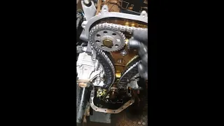 VW polo Timing chain