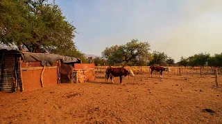 Así es la vida en un paraje rural en el medio de la nada | Animales, sequía y sacrificio