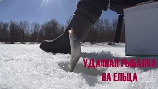 Удачная рыбалка на ельца.