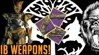 Destiny Beasting in PvP with Iron Banner Weapons