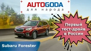 Subaru Forester 2019 5  поколения - тест драйв. Субару Форестер 5 - первый обзор и отзывы владельцев