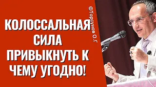 Колоссальная сила привыкнуть к чему угодно! Торсунов лекции