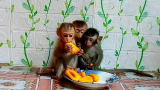Third baby eating jackfruit look delicious, They're gladness eat and play with sibling