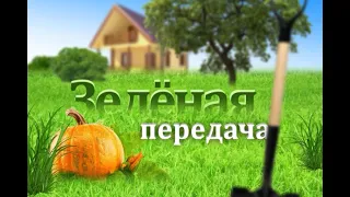 2019 09 17 Зелёная передача