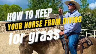 Keep your horse from diving for grass