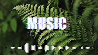 Rogers & Dean - Jungle | MUSIC NO COPYRIGHT