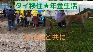 【タイ移住★年金生活】2022年8月29日(月)  普段の日常の様子を短い動画にしました。