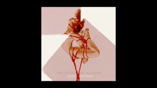 Asaf Avidan // The Study on Falling