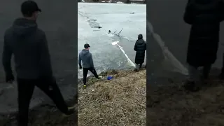 Житель Бугульмы спас собаку, провалившуюся под лед
