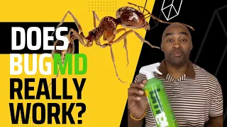 My BUGMD Pest Concentrate Experience