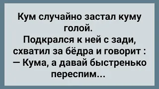 Кум Застал Куму Без Одежды! Сборник Свежих Анекдотов! Юмор!