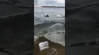 Спасение девочки из воды