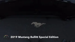 Mustang Bullitt Special Edition car chase in San Francisco