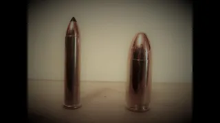 Quick test of 22 WMR (22 Mag) against 9mm