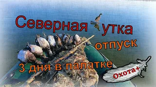 Трейлер Северная утка. Отпуск. 3 дня в палатке на озере