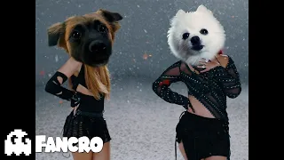 KAROL G, Shakira - TQG (Cover Perros)