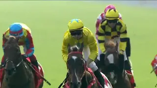 2022 HKJC  SHA TIN  Jockey Club Sprint